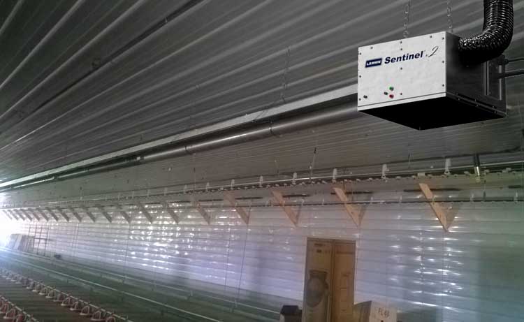 Sentinel v.2 Tube heater in a poultry house.